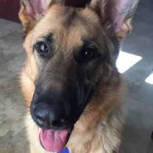 Meet your Posher, Regina